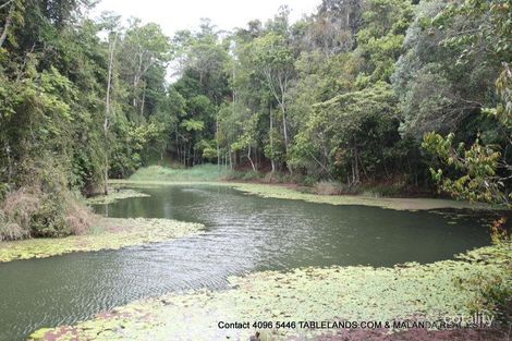 302 Fuller Rd, Butchers Creek, QLD 4885