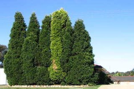 Property photo of 5/311 Pacific Highway Belmont North NSW 2280