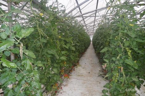 10 Derrick Rd, Loxton North, SA 5333