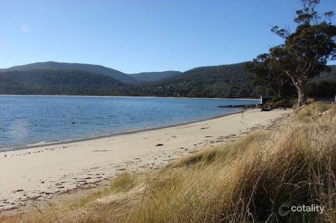 Property photo of 411 White Beach Road White Beach TAS 7184