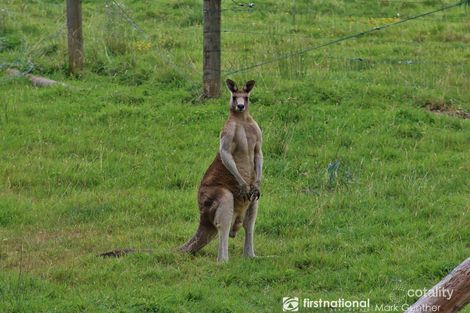 12 Bangambalanga Ave, Chum Creek, VIC 3777