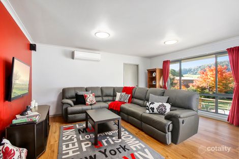 Property photo of 1360 Myers Creek Road Toolangi VIC 3777