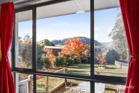 Property photo of 1360 Myers Creek Road Toolangi VIC 3777