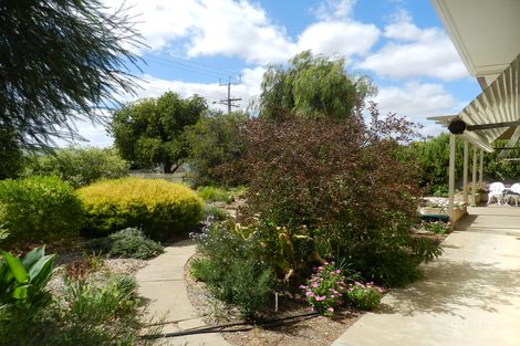 Property photo of 32 Fowles Street Barmera SA 5345