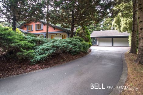 Property photo of 109 Hilton Road Sassafras VIC 3787