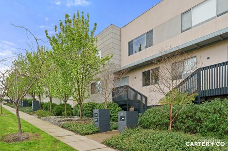 17 Mcgovern St, Casey, ACT 2913