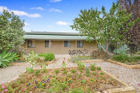 Property photo of 1 Jessup Street Kidman Park SA 5025
