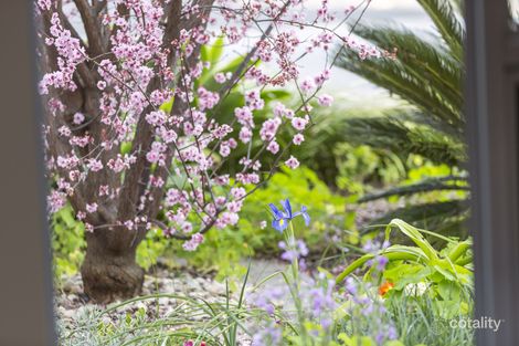 Property photo of 41A Flinders Street Edwardstown SA 5039