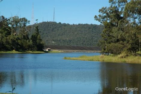 Property photo of 17 Redwood Place The Gap QLD 4061