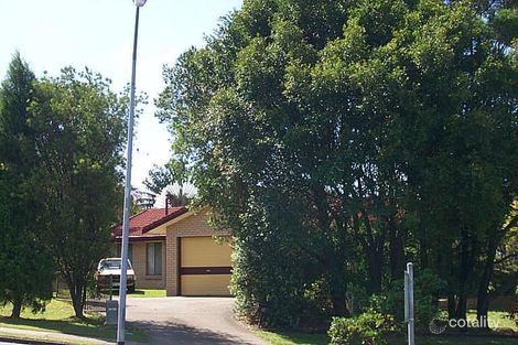 Property photo of 19 Numeralla Avenue Ashmore QLD 4214