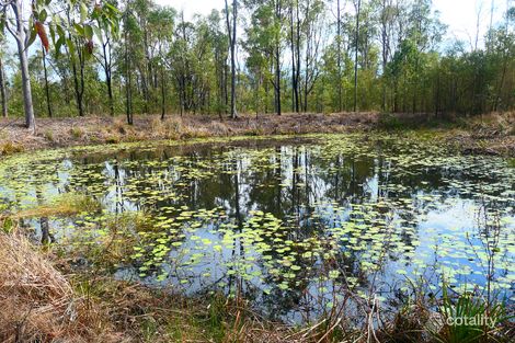 159 Hunters Rd, Ewingar, NSW 2469