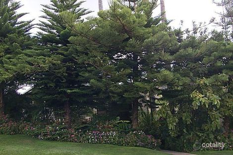 19 Reuben St, Holland Park, QLD 4121