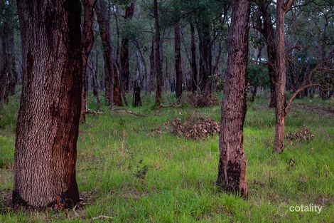 Property photo of 22 Maine-Anjou Drive Lower Chittering WA 6084