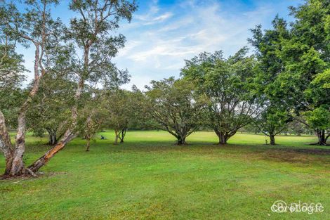 Property photo of 29 Chelford Street Alderley QLD 4051