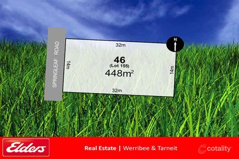 46 Springleaf Rd, Tarneit, VIC 3029