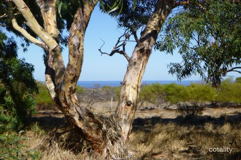 118 Richards Rd, Buller, WA 6532