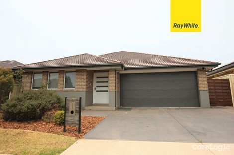 Property photo of 12 Alchornea Circuit Mount Annan NSW 2567