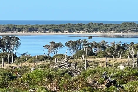 Lot 5 North East River Rd, Palana, TAS 7255
