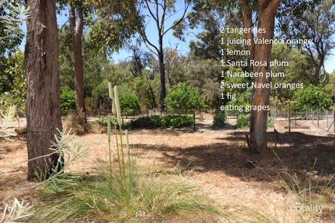 Property photo of 36 Ramsay Road Stratham WA 6237