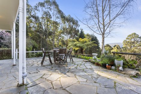 Property photo of 26 Morbey Road Gembrook VIC 3783