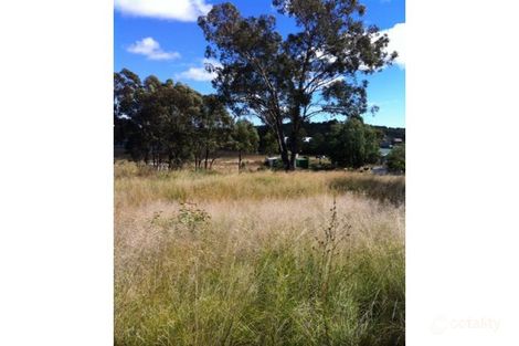 Major St, Leyburn, QLD 4365