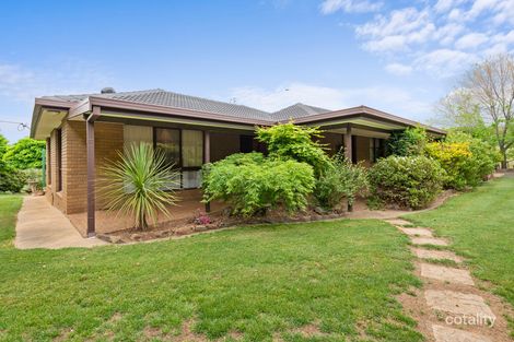 Property photo of 138 Cottams Road Batlow NSW 2730