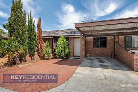 3/163 Tyler St, Tuart Hill, WA 6060
