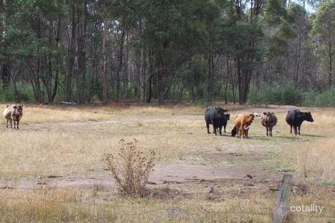 Property photo of 360 East Arm Road Mount Direction TAS 7252