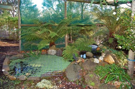 Property photo of 5 Hill Street Park Orchards VIC 3114