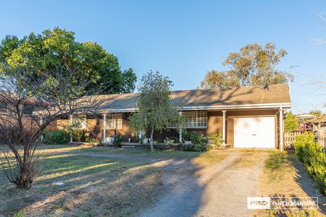 Property photo of 19 Damar Avenue Kootingal NSW 2352