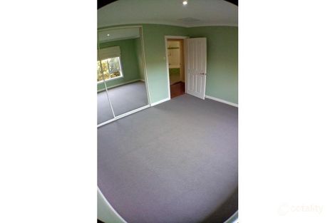 Property photo of 17 Michael Avenue Modbury North SA 5092