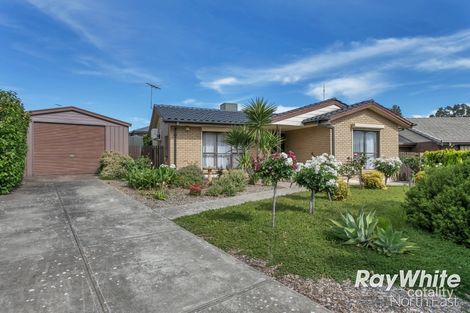 Property photo of 17 Erong Avenue Gilles Plains SA 5086