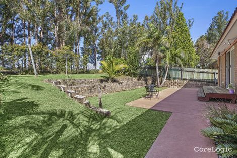 Property photo of 50 Dews Avenue Toormina NSW 2452