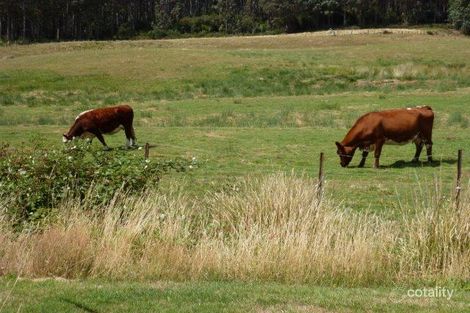 Property photo of 3001 Gordon River Road Tyenna TAS 7140