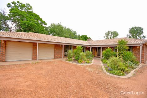 Property photo of 22 Tecoma Street Leeton NSW 2705