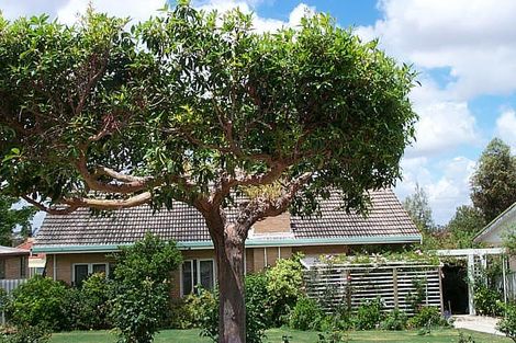 40 Tuckfield Way, Nollamara, WA 6061