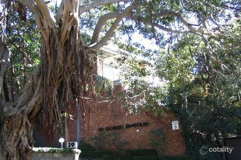 Property photo of 1/39 Ocean Avenue Double Bay NSW 2028
