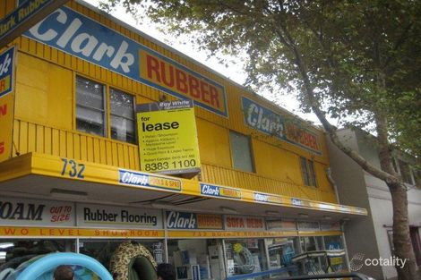 732 Botany Rd, Mascot, NSW 2020