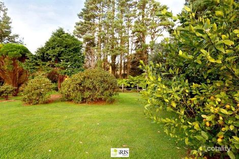 Property photo of 1 Skyline Road Mount Tomah NSW 2758