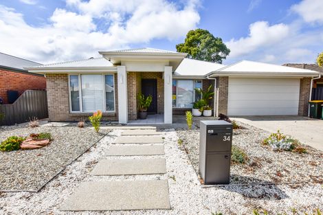 34 Blackler Ave, Plympton Park, SA 5038