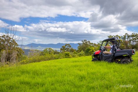 281 Wallaby Joe Rd, Wingham, NSW 2429