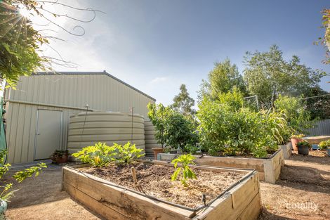 Property photo of 6 Ash Grove Lucindale SA 5272
