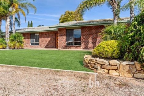 Property photo of 7 Hilltop Drive Loxton SA 5333