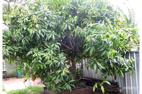 Property photo of 15 Ritchie Street Rosehill NSW 2142