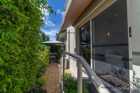 Property photo of 95 Witt Avenue Carrara QLD 4211