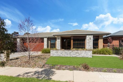 11 Evergreen Bvd, Jackass Flat, VIC 3556