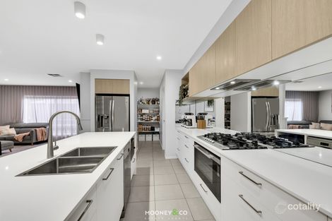 Property photo of 6 Redwood Court Junction Village VIC 3977