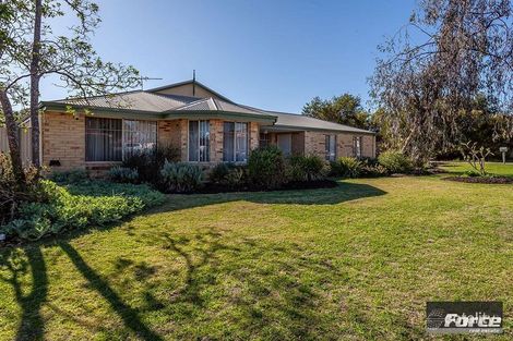 Property photo of 28 Torridon Loop Wanneroo WA 6065