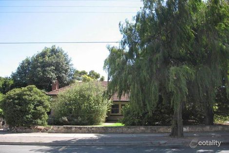 66 Byre Ave, Somerton Park, SA 5044