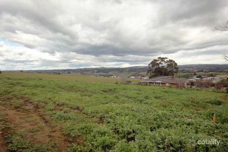 Property photo of 25 Binalong Avenue St Leonards TAS 7250